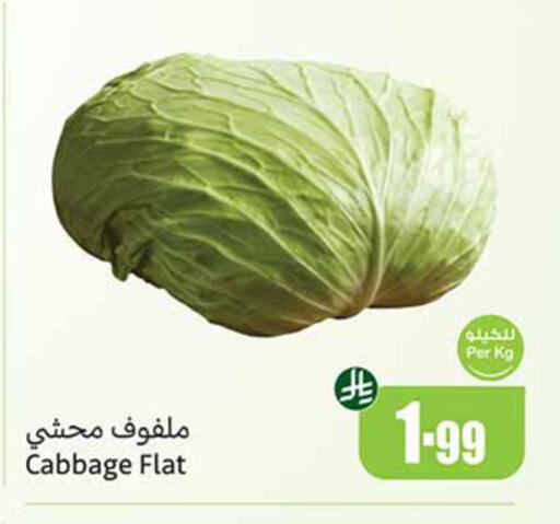 Cabbage available at أسواق عبد الله العثيم in مملكة العربية السعودية, السعودية, سعودية - تبوك