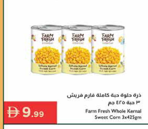available at Istanbul Supermarket in UAE - Al Ain