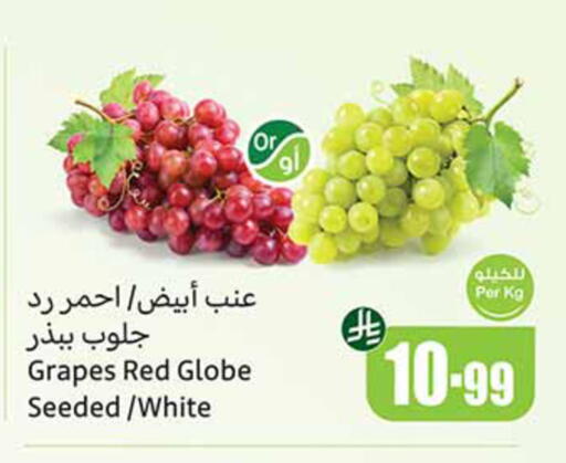 Grapes available at أسواق عبد الله العثيم in مملكة العربية السعودية, السعودية, سعودية - تبوك