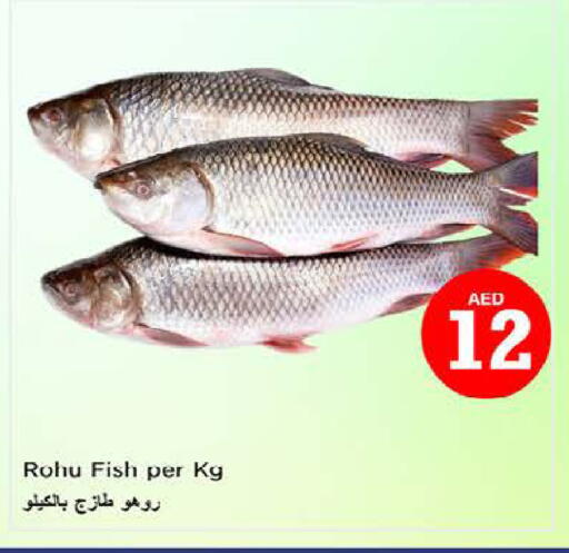 available at Nesto Hypermarket in UAE - Al Ain