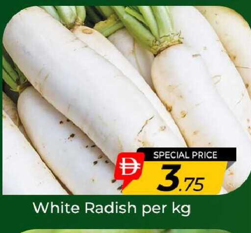Radish available at مبارك هايبرماركت الشارقة in الإمارات العربية المتحدة , الامارات - الشارقة / عجمان