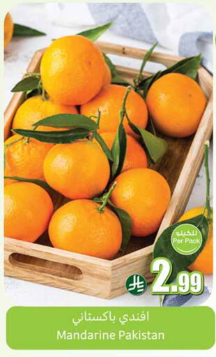 from Pakistan available at أسواق عبد الله العثيم in مملكة العربية السعودية, السعودية, سعودية - تبوك