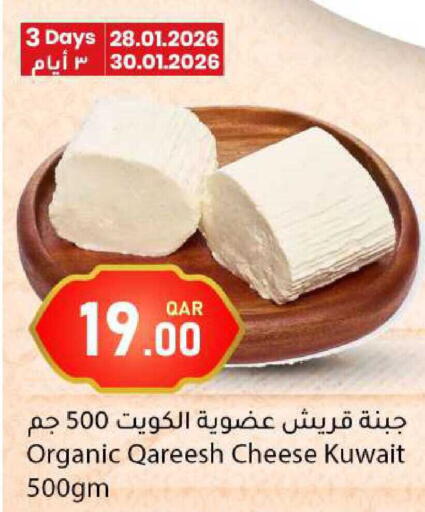 available at دانا ماركت in قطر - الشحانية