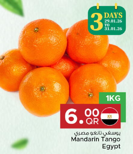 Mandarin from Egypt available at Family Food Centre in Qatar - Al Khor