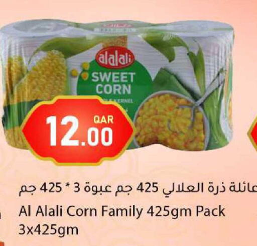 available at دانا ماركت in قطر - الشحانية