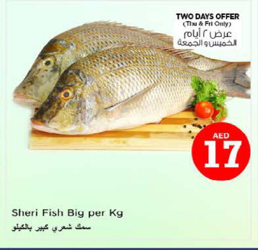 available at نستو هايبرماركت in الإمارات العربية المتحدة , الامارات - ٱلْعَيْن‎