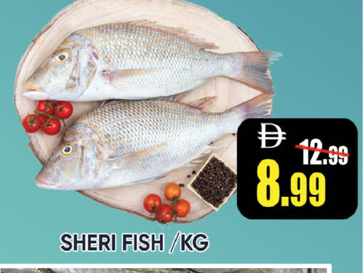 available at ليبتس هايبرماركت in الإمارات العربية المتحدة , الامارات - رَأْس ٱلْخَيْمَة