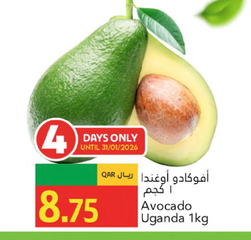 Avocado from Uganda available at جلف فود سنتر in قطر - أم صلال