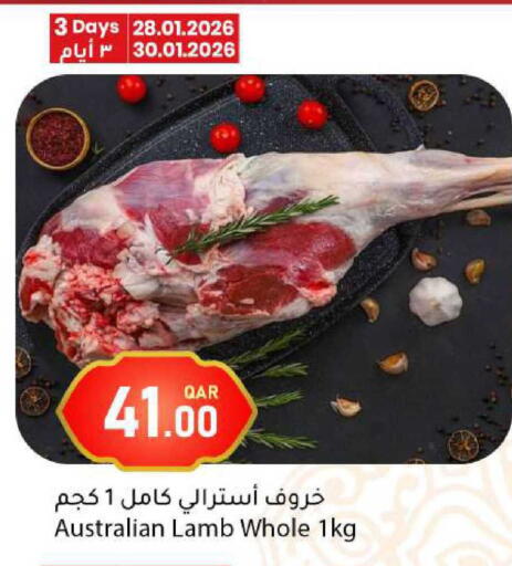 available at دانا ماركت in قطر - الشحانية