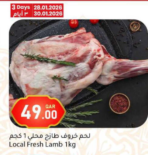 available at دانا ماركت in قطر - الشحانية