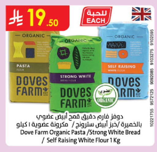 available at الدانوب in مملكة العربية السعودية, السعودية, سعودية - تبوك