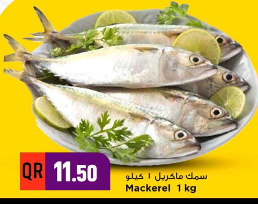 available at مرزا هايبرماركت in قطر - الشمال