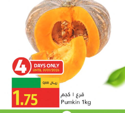 Pumkin available at جلف فود سنتر in قطر - الشحانية