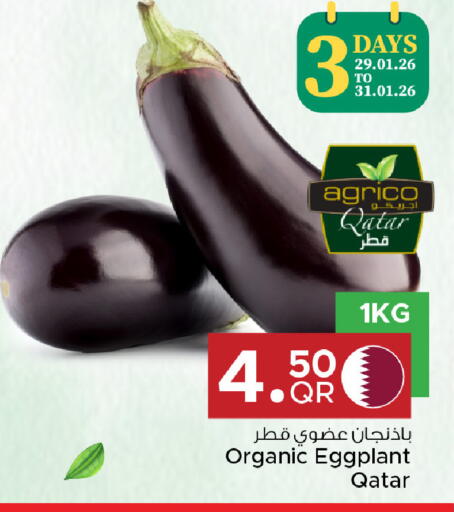 Eggplant from Qatar available at مركز التموين العائلي in قطر - الخور