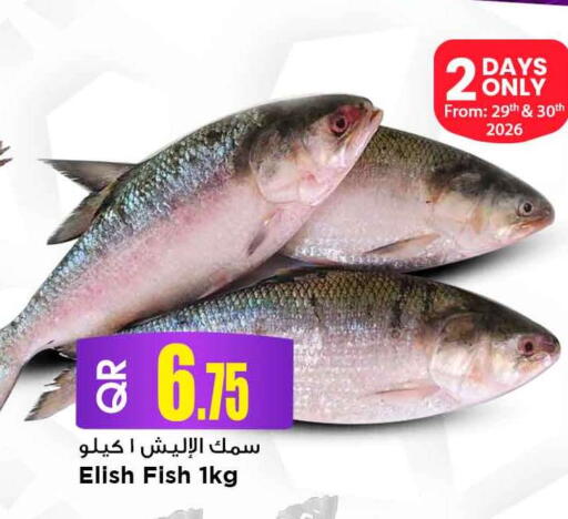 available at مرزا هايبرماركت in قطر - الوكرة