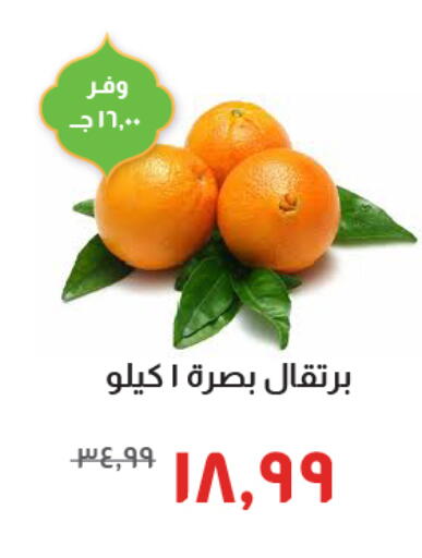 available at Kheir Zaman  in Egypt - Cairo