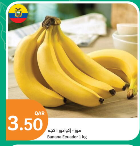 Banana from Ecuador available at سيتي هايبرماركت in قطر - الريان
