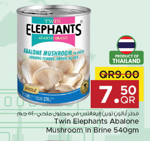 Mushroom available at مركز التموين العائلي in قطر - الخور