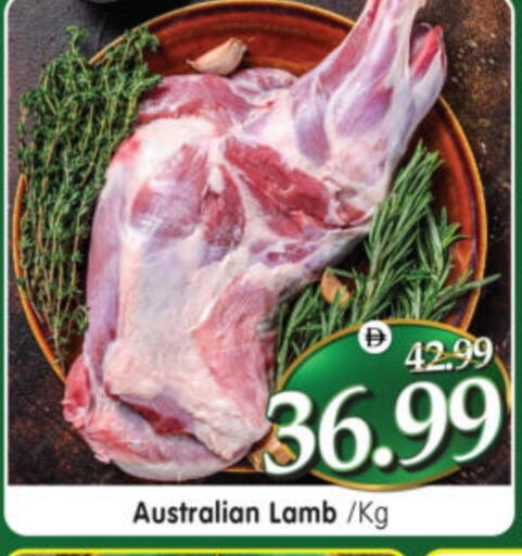 available at هايبر ماركت المدينة in الإمارات العربية المتحدة , الامارات - أبو ظبي