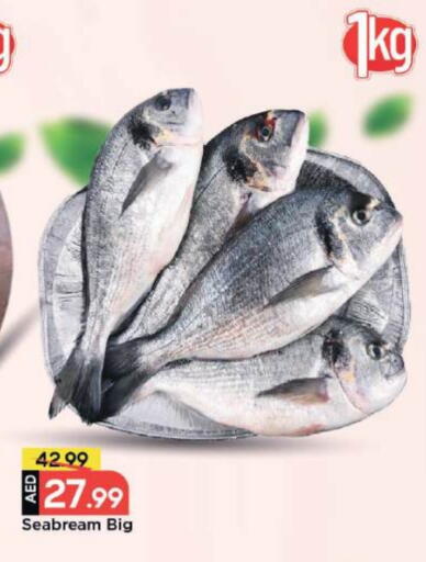 available at مارك & سيف in الإمارات العربية المتحدة , الامارات - دبي