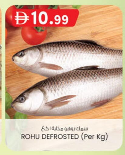 available at ك. إم. هايبرماركت in الإمارات العربية المتحدة , الامارات - أبو ظبي