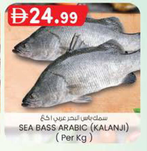 available at صفا هايبر in الإمارات العربية المتحدة , الامارات - ٱلْعَيْن‎
