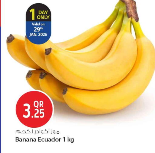 Banana from Ecuador available at سفاري هايبر ماركت in قطر - الشحانية