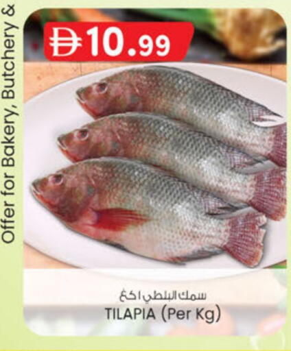 available at ك. إم. هايبرماركت in الإمارات العربية المتحدة , الامارات - أبو ظبي