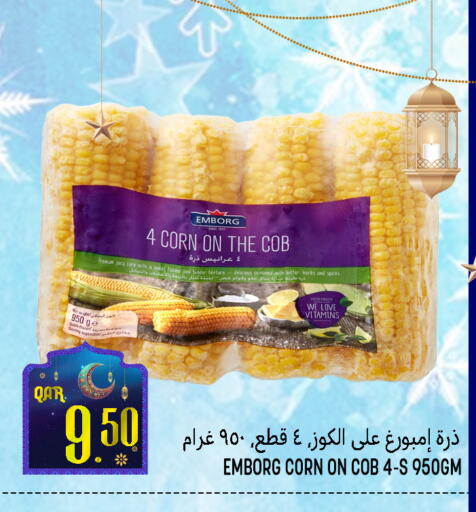 available at قصر الأغذية هايبرماركت in قطر - أم صلال