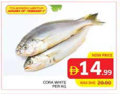 available at الامارات السبع سوبر ماركت in الإمارات العربية المتحدة , الامارات - أبو ظبي