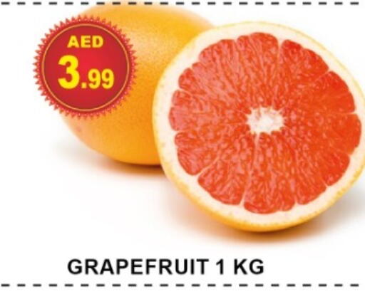 available at مركز الوحدة للتخفيضات in الإمارات العربية المتحدة , الامارات - الشارقة / عجمان