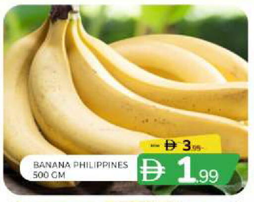 Banana from Philippines available at المدينة in الإمارات العربية المتحدة , الامارات - الشارقة / عجمان