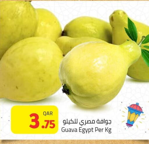 Guava from Egypt available at Masskar Hypermarket in Qatar - Doha