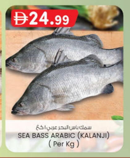 available at ك. إم. هايبرماركت in الإمارات العربية المتحدة , الامارات - أبو ظبي