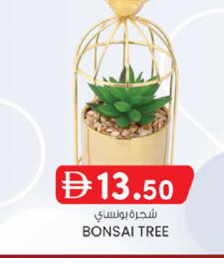 available at ك. الم. للتجارة in الإمارات العربية المتحدة , الامارات - الشارقة / عجمان