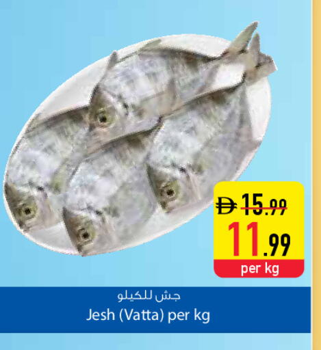 available at Safeer Market in UAE - Dubai