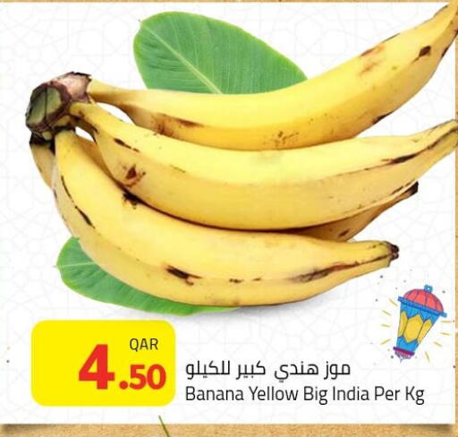 Banana from India available at Masskar Hypermarket in Qatar - Doha