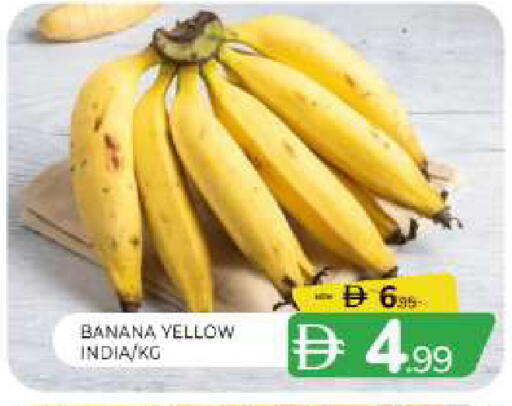 Banana from India available at المدينة in الإمارات العربية المتحدة , الامارات - الشارقة / عجمان