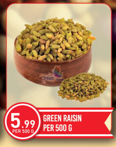 available at دريم لاند in الإمارات العربية المتحدة , الامارات - دبي