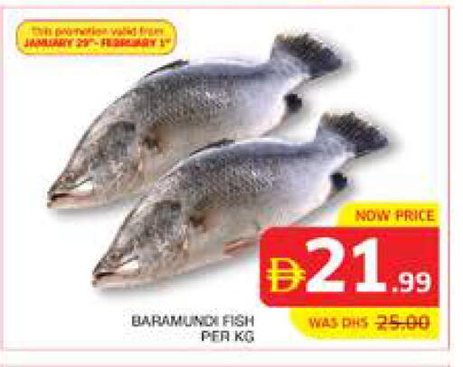 available at الامارات السبع سوبر ماركت in الإمارات العربية المتحدة , الامارات - أبو ظبي