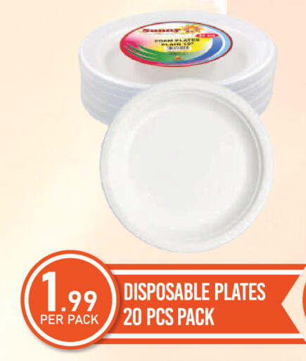 available at دريم لاند in الإمارات العربية المتحدة , الامارات - دبي