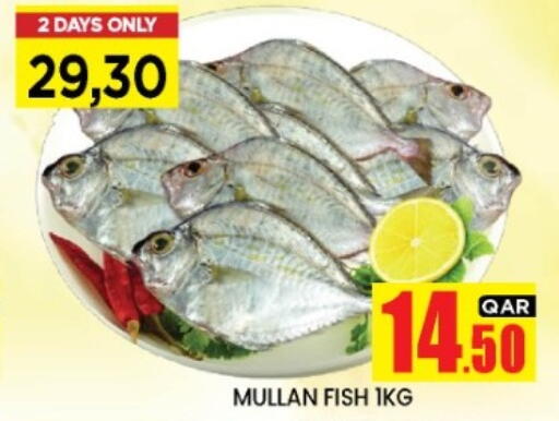 available at New Stop n Shop @Fereej Bin Omran in Qatar - Doha