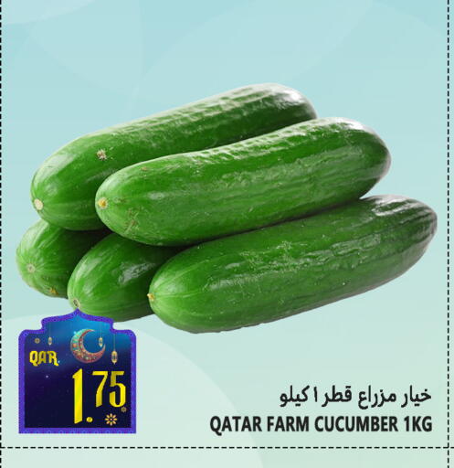 Cucumber from Qatar available at Food Palace Hypermarket in Qatar - Al Wakra