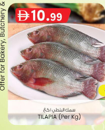 available at صفا اكسبريس سوبرماركت in الإمارات العربية المتحدة , الامارات - أبو ظبي