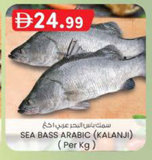 available at صفا اكسبريس سوبرماركت in الإمارات العربية المتحدة , الامارات - ٱلْعَيْن‎