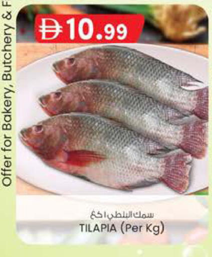 available at ك. الم. للتجارة in الإمارات العربية المتحدة , الامارات - أبو ظبي