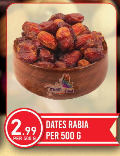 available at دريم لاند in الإمارات العربية المتحدة , الامارات - دبي