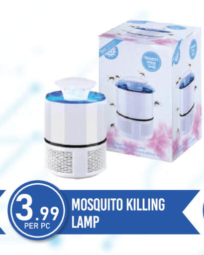 available at دريم لاند in الإمارات العربية المتحدة , الامارات - دبي