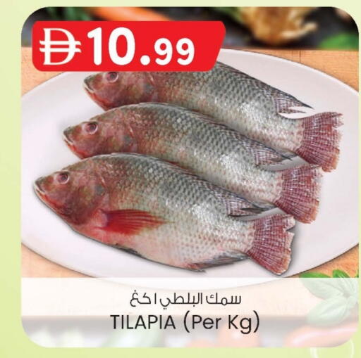 available at ك. إم. هايبرماركت in الإمارات العربية المتحدة , الامارات - ٱلْعَيْن‎