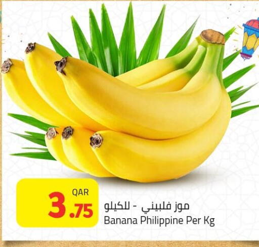 Banana from Philippines available at Masskar Hypermarket in Qatar - Doha